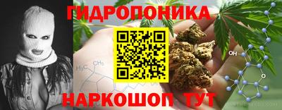 ешки Краснодар