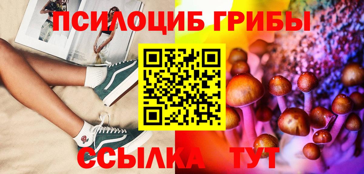Арсеньев  Галлюциногенные грибы мухоморы  Вход с VPN 